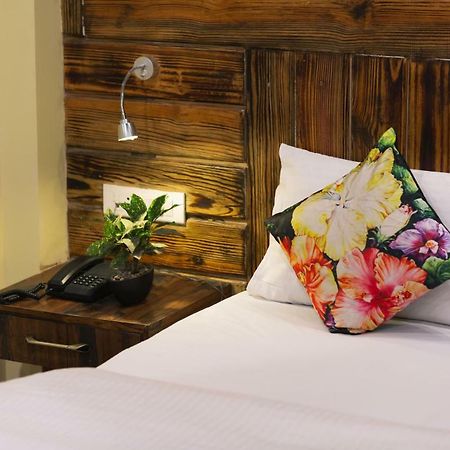 Nirvana Lodge And Lounge Mussoorie Dış mekan fotoğraf